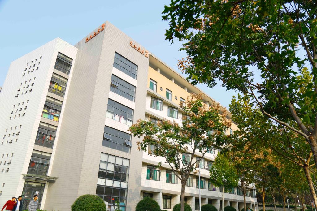 山东艺术3分快3在线计划新人权益 鲁