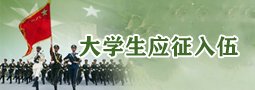 大小单双稳赚
